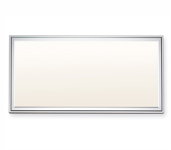 LED Panel light-30x60